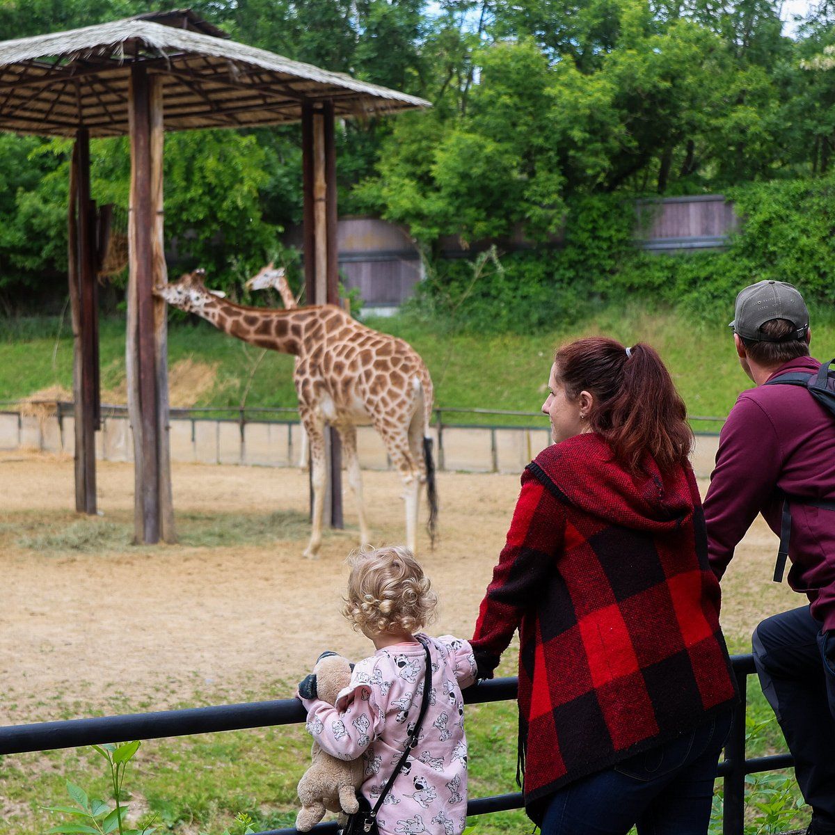 Caminhos Ocultos de um Centro de Experiências Zoológicas Privadas